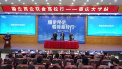 前者将有组织地正在平台共建、财产共促